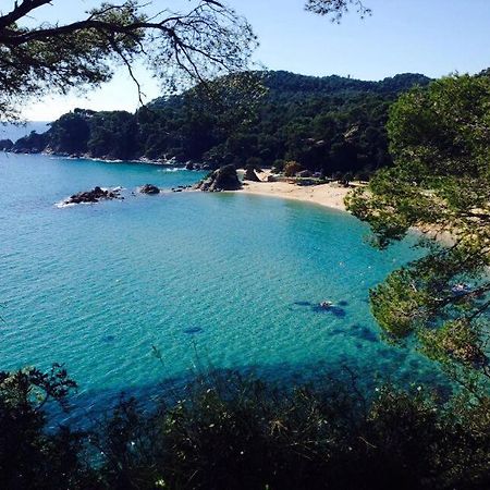 Appartements Les Pesquiers 2 Hyeres Plage Exterior foto